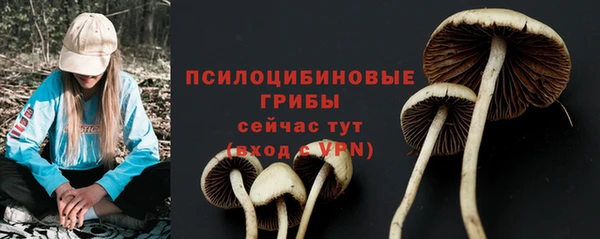 Альфа ПВП Приозерск