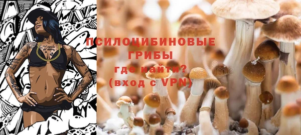 Альфа ПВП Приозерск