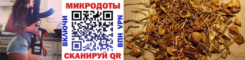 наркотики  МЕГА как зайти  Псилоцибиновые грибы мухоморы  Суворов 